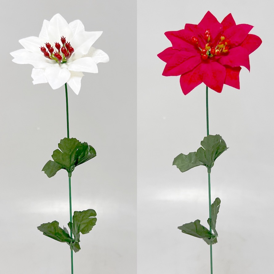 Poinsettia x 1  60cm